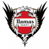 Llamas Kochi FC