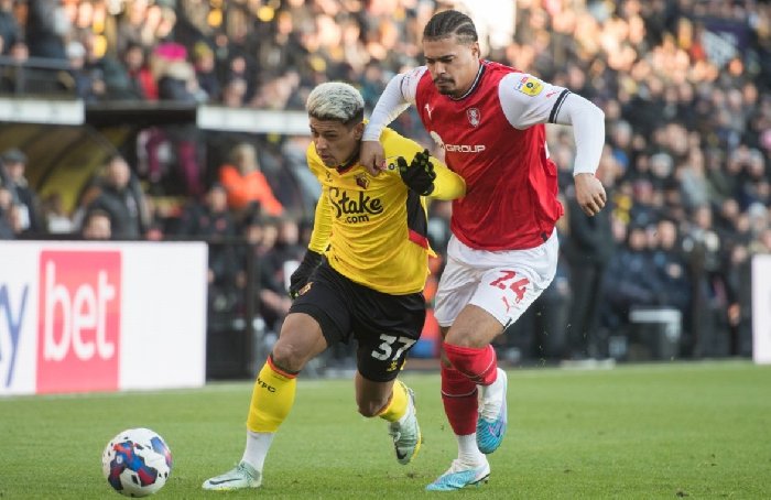 Soi kèo Watford vs Rotherham United, 22h00 ngày 11/11