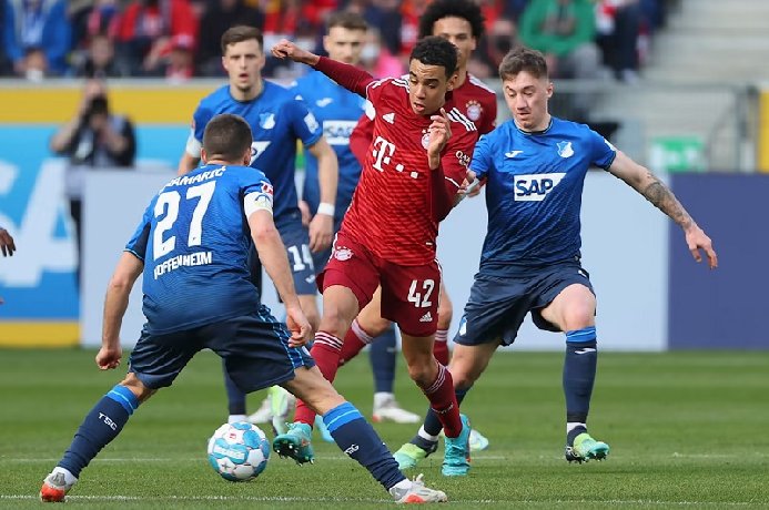 Nhận định Bayern Munich vs Hoffenheim, 02h30 ngày 13/1: Hùm xám vớ bẫm