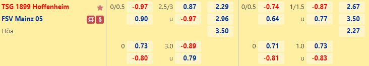 Soi Kèo Hoffenheim vs FSV Mainz 05, 23h30 Ngày 26/11 - Ảnh 2