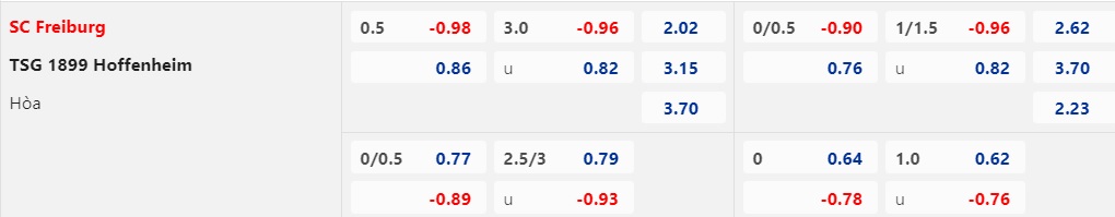 Nhận Định Freiburg vs Hoffenheim, 21h30 Ngày 20/1: Giữ lại 3 điểm - Ảnh 1