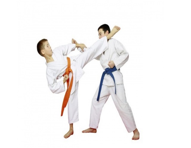 Đai xanh là một cấp bậc đai trong Judo