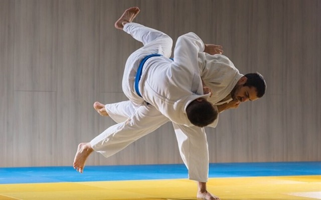 Môn võ Judo có mấy đai?