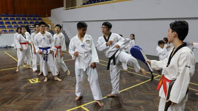 Môn võ Taekwondo có nguồn gốc từ Hàn Quốc